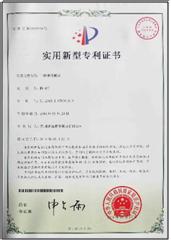 我們的專(zhuān)利3